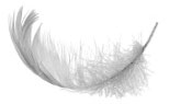 im_feather4